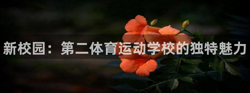 k1体育十年品牌