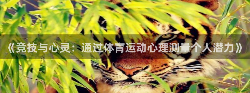 k1体育棋牌
