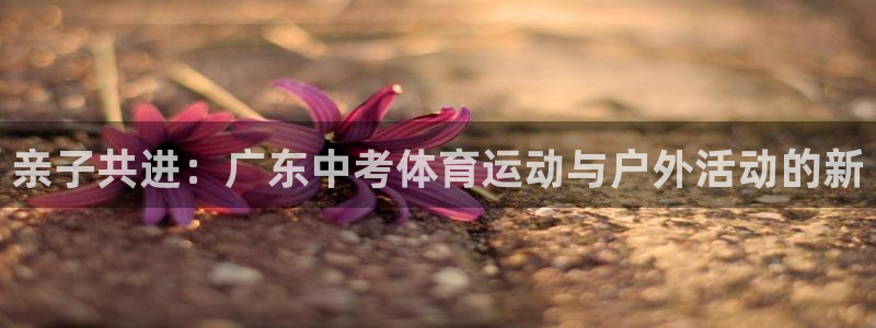 k1体育app下载