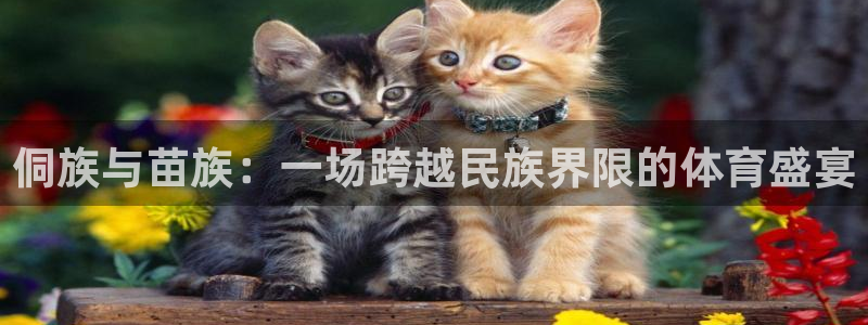 k1体育十年品牌值得信赖网址