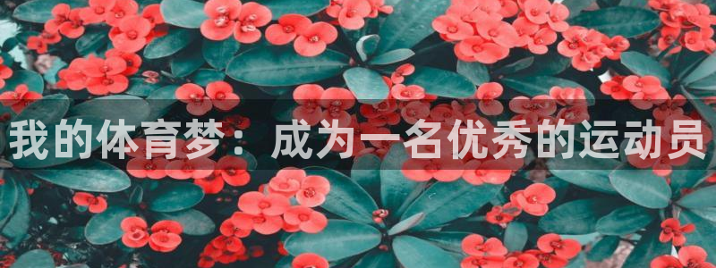 k1体育棋牌