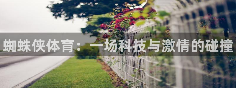 k1体育网址