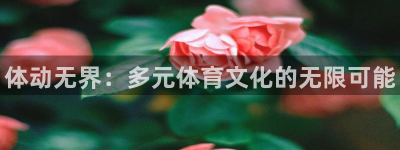 k1体育平台最新网站下载