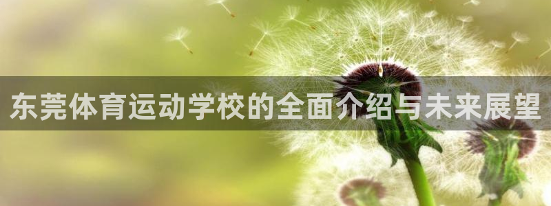 帮k1体育在线登录